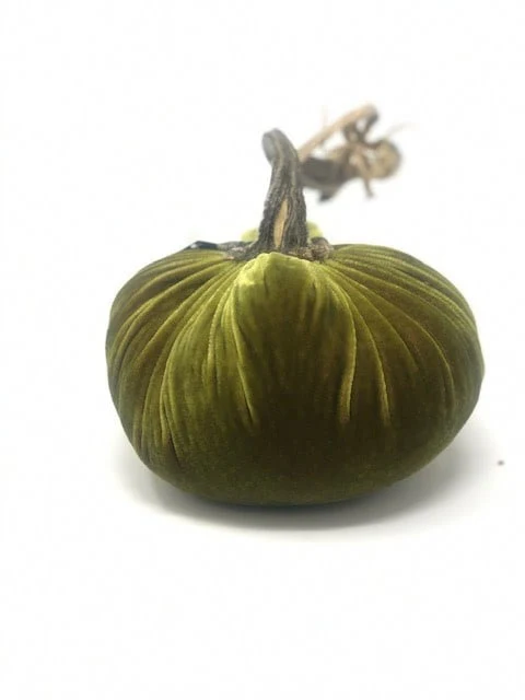 6" Velvet Pumpkin - Image 4
