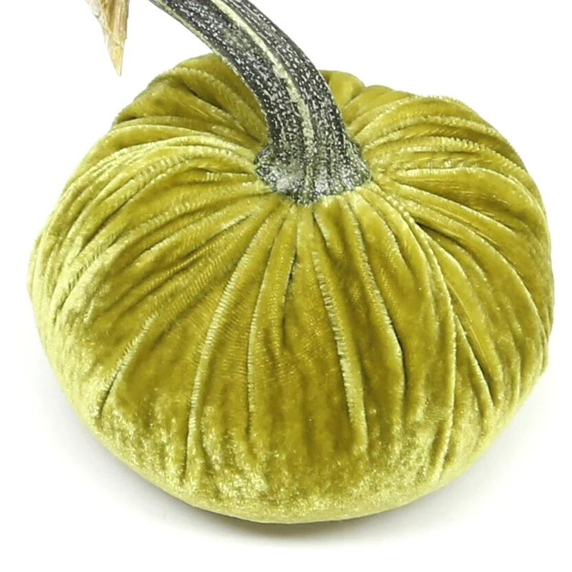 6" Velvet Pumpkin - Image 48