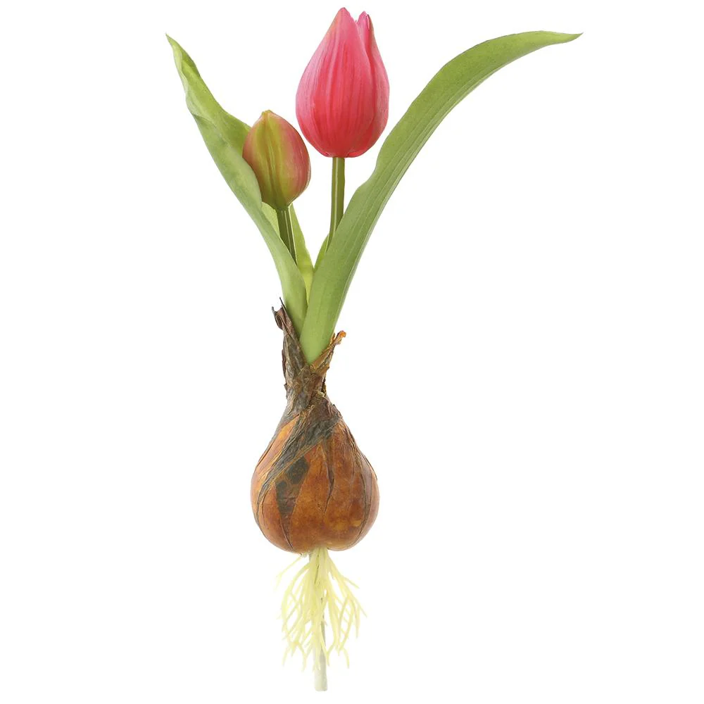 8 Inch Tulip Spray With Bulb - Image 2
