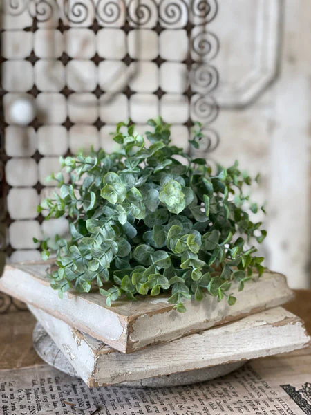 9" Greenbriar Eucalyptus Half Sphere