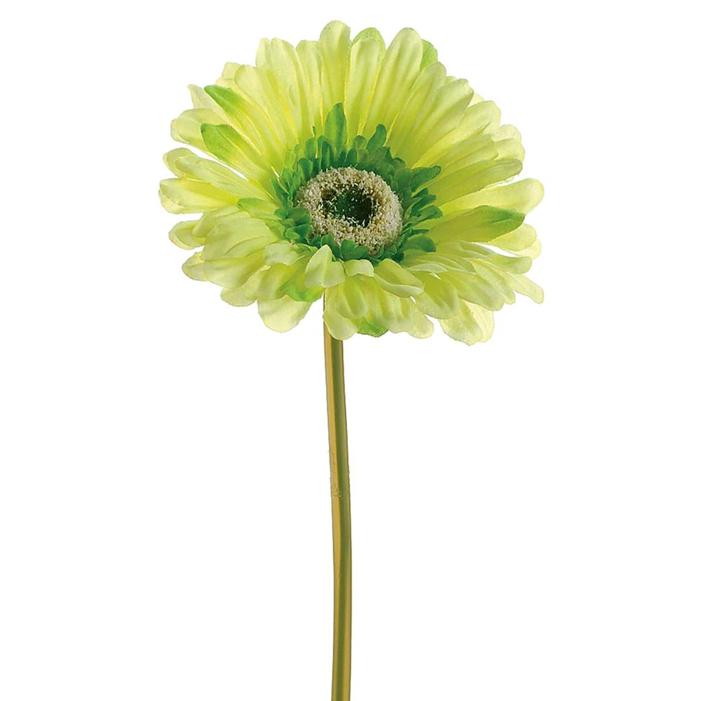 9" Large Gerbera Daisy Stem - Image 2