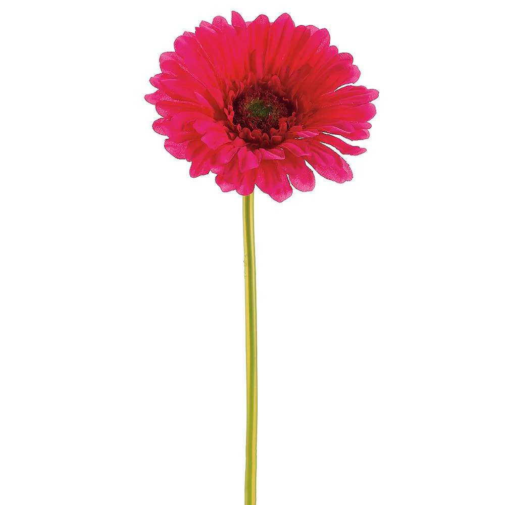 9" Large Gerbera Daisy Stem - Image 5