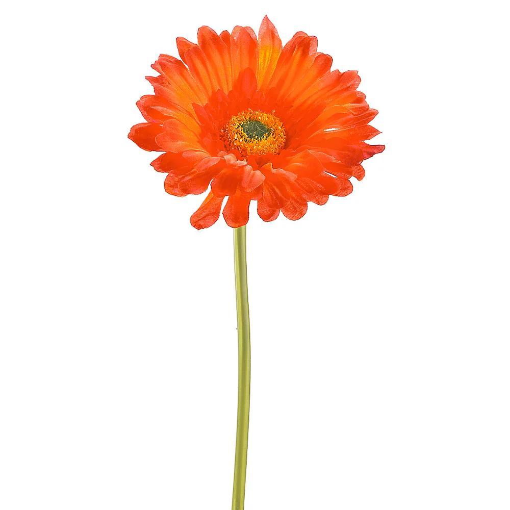 9" Large Gerbera Daisy Stem - Image 6
