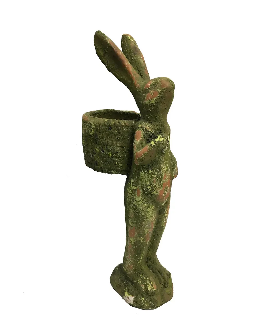 Aged Gathering Rabbit