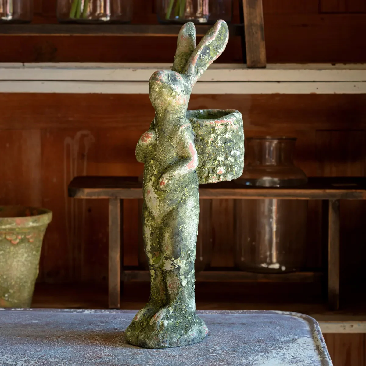 Aged Gathering Rabbit - Image 2