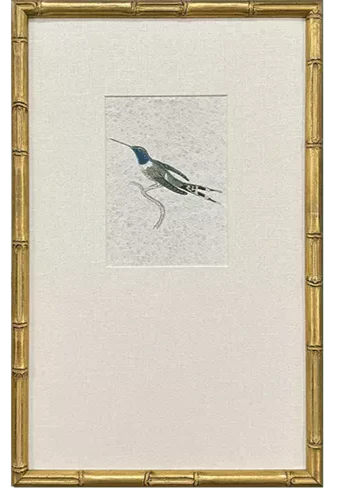 Antique Hummingbird Print SOLD INDIVIDUALLY - Image 4