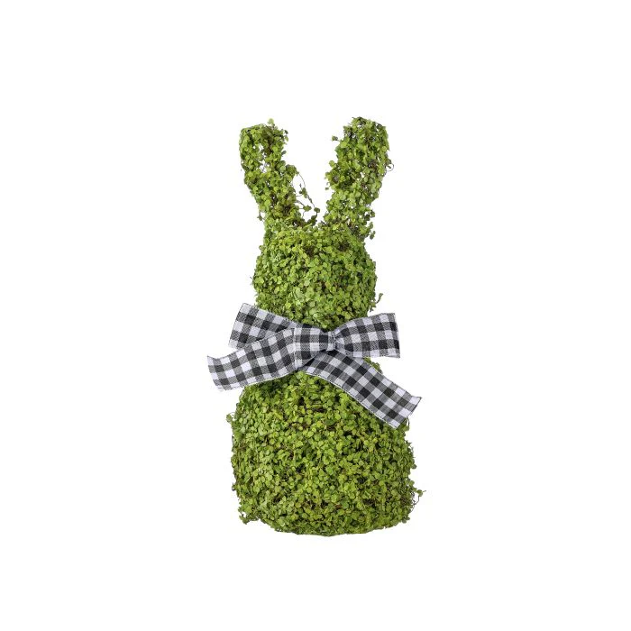 Baby Tears Vine Bunny - Image 2