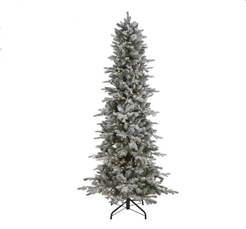 BECKY 7' SNOWTIP ASPEN TREE
