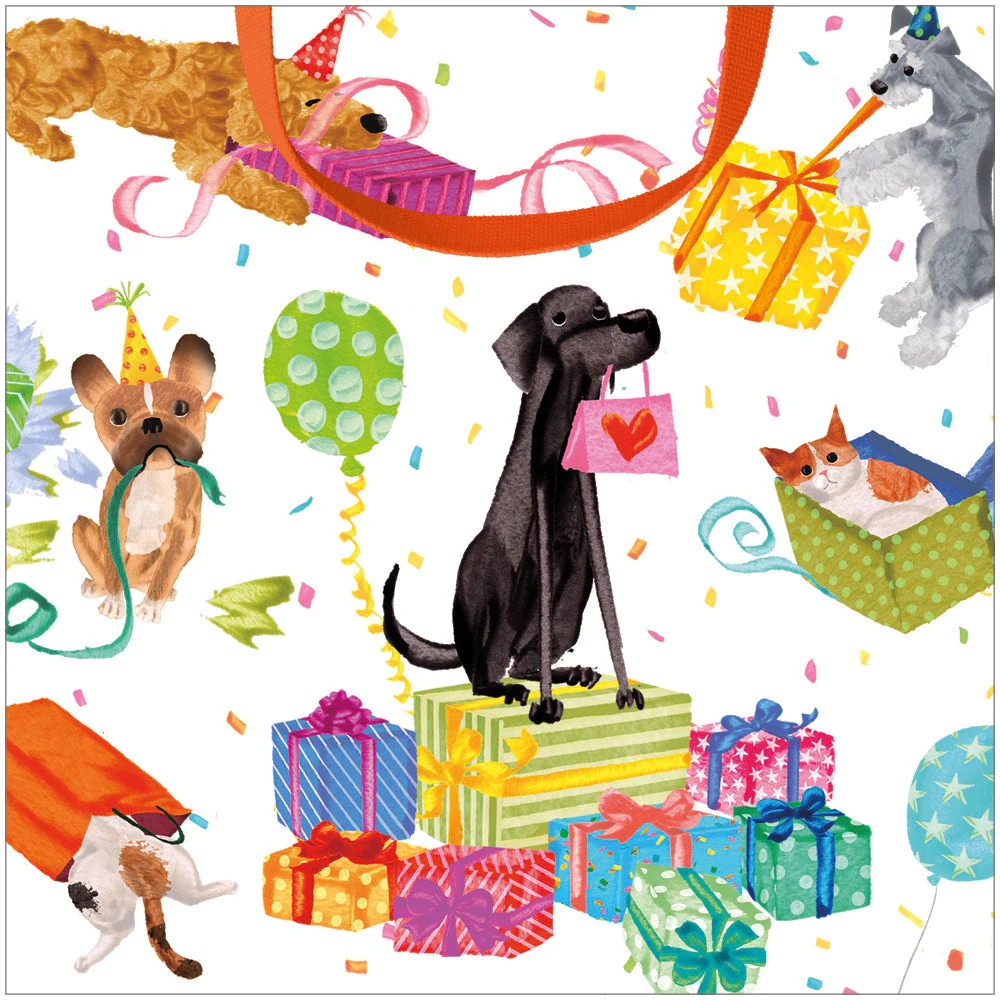 Birthday Pets Small Square Gift Bag