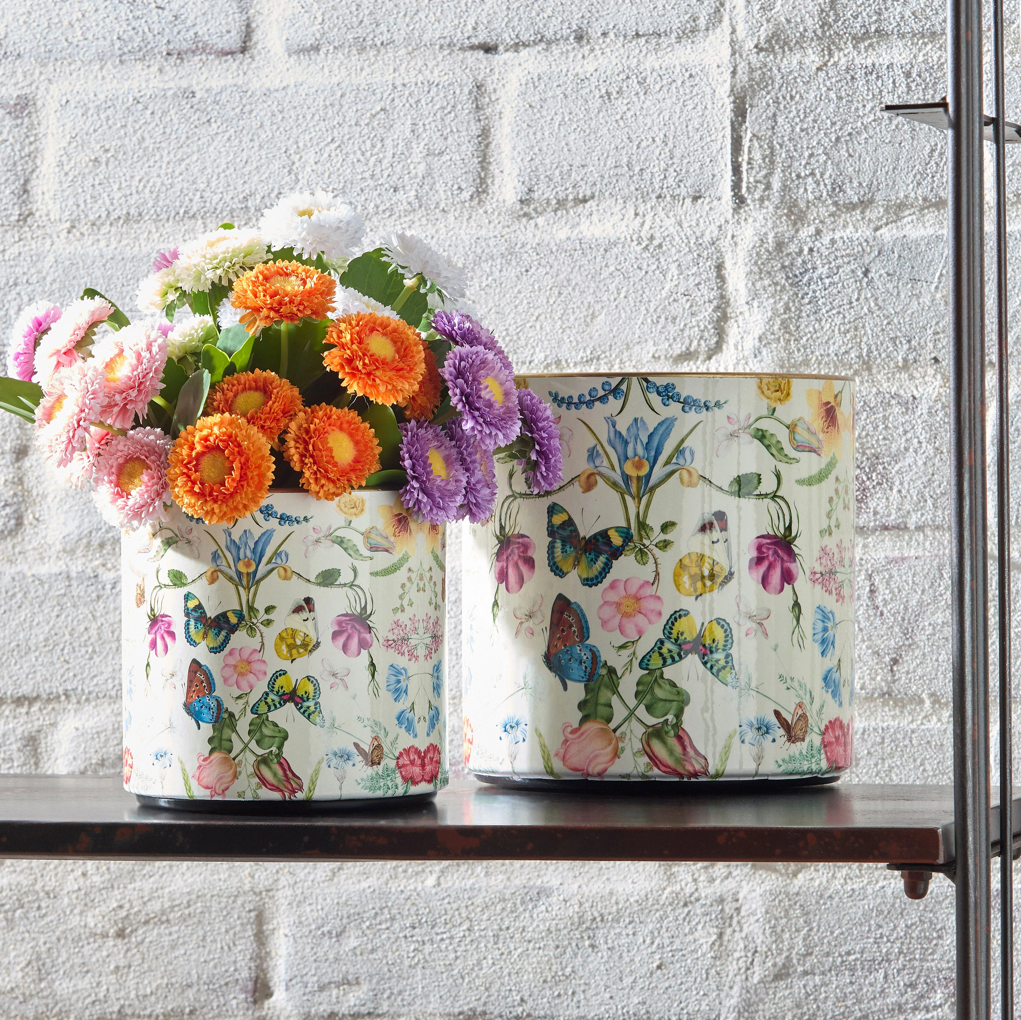 Botanical Flight Container - Sold Individually - Image 2