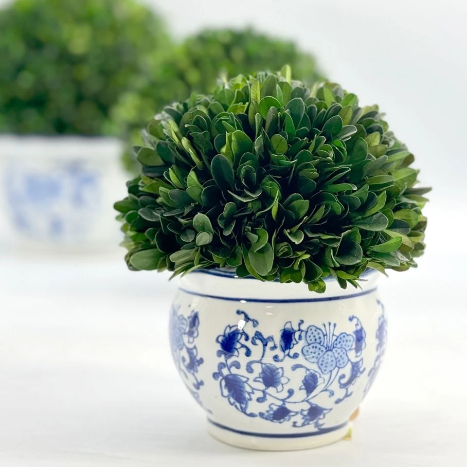 Boxwood Ball Topiary in Round Bulb Blue & White Ceramic Pot - Image 5