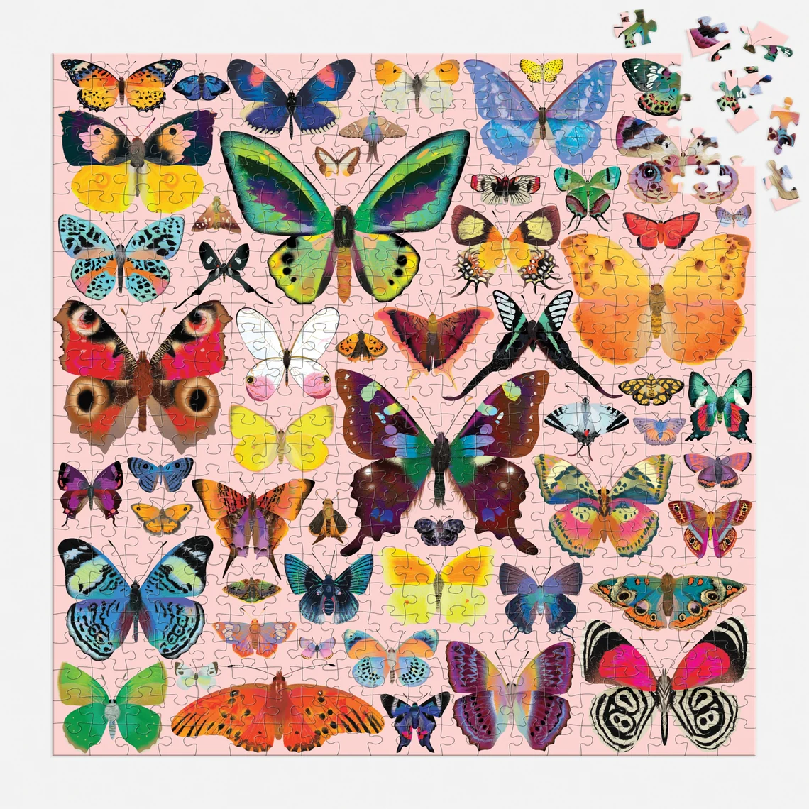Brilliant Butterflies 500 Piece Family Puzzle - Image 3