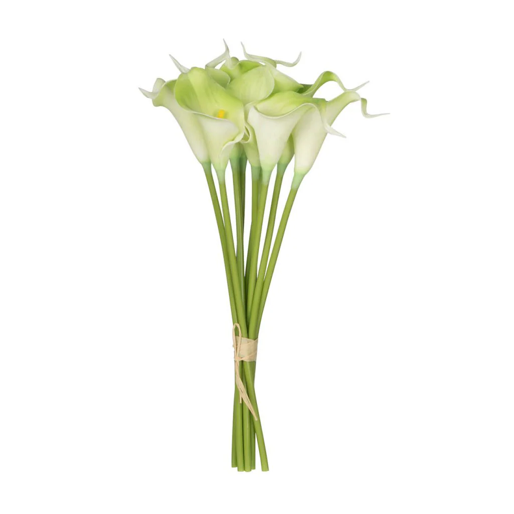 Calalily- Green