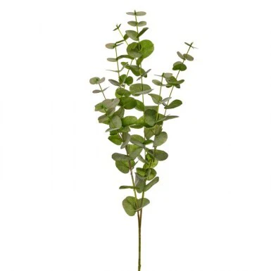 California Eucalyptus Branch 39”