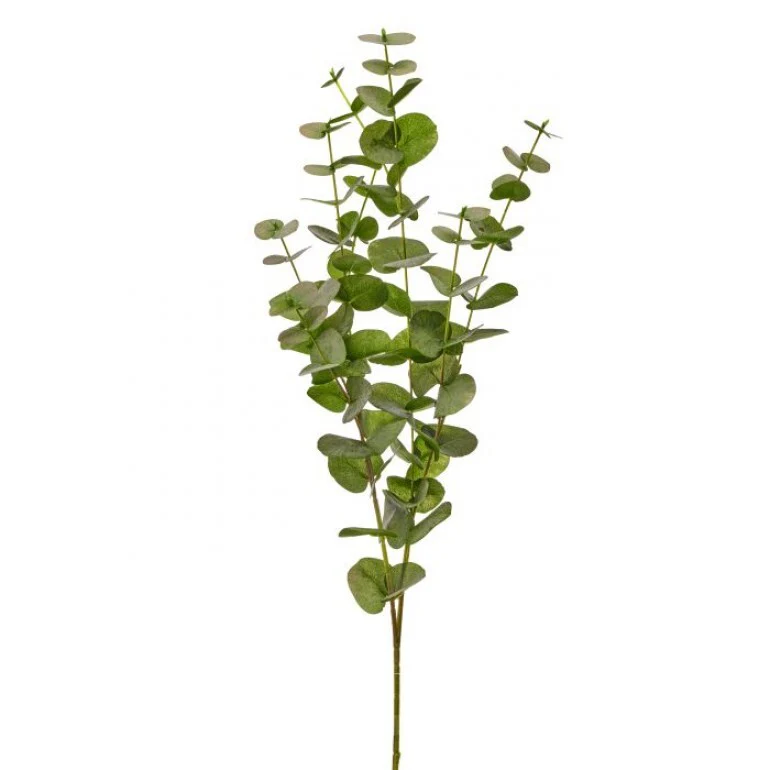 California Eucalyptus Branch 39” - Image 2