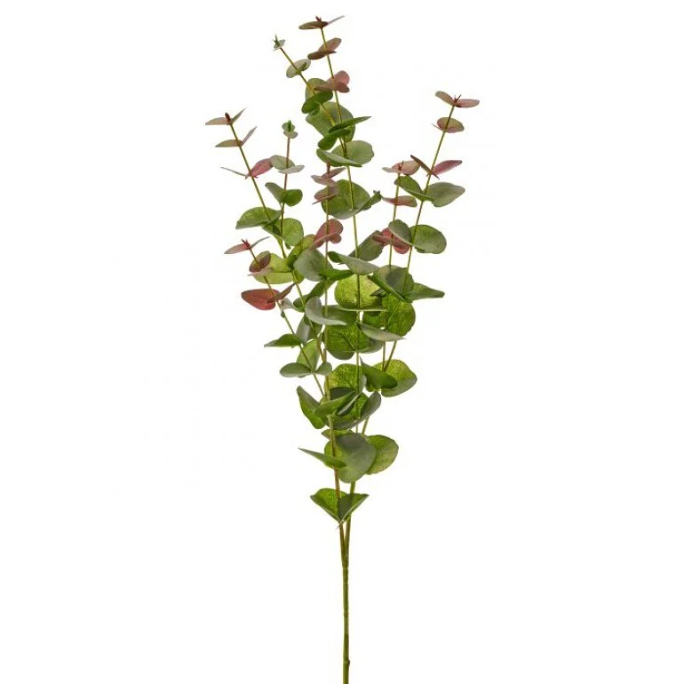 California Eucalyptus Branch 39” - Image 3