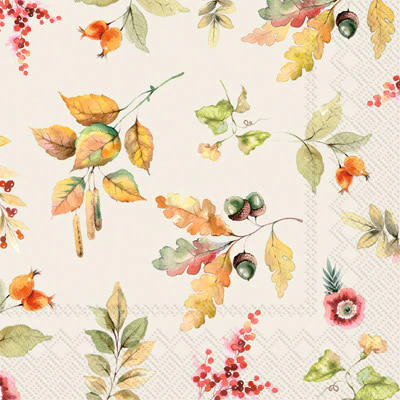Cocktail Napkins - Image 5