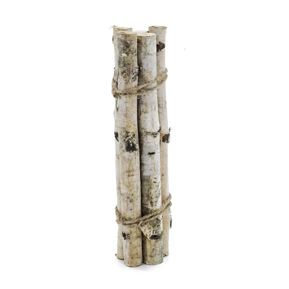 D1.1'' H11.8'' Birch Wood Vase Filler