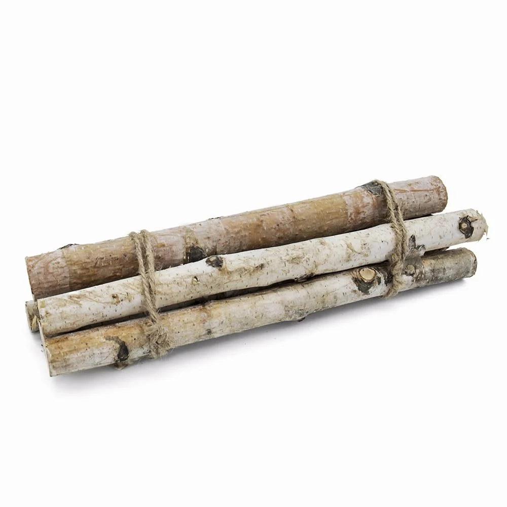 D1.1'' H11.8'' Birch Wood Vase Filler - Image 2