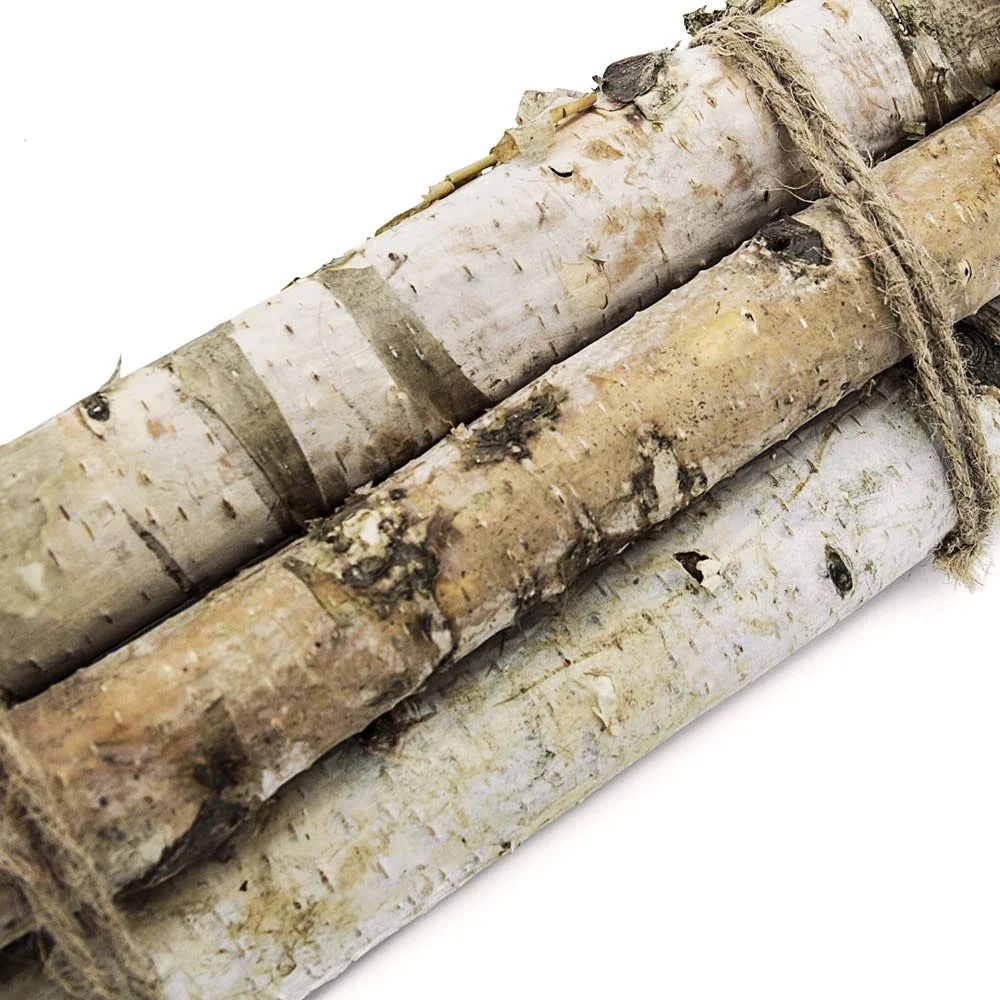 D1.6'' H11.8'' Birch Wood Vase Filler - Image 3