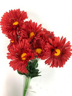 Daisy Bush X9