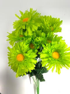 Daisy Bush X9 - Image 2
