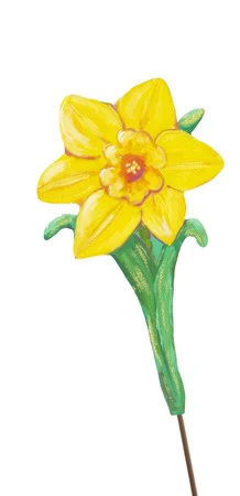 Easter Daffodils - Image 2