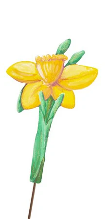 Easter Daffodils - Image 3