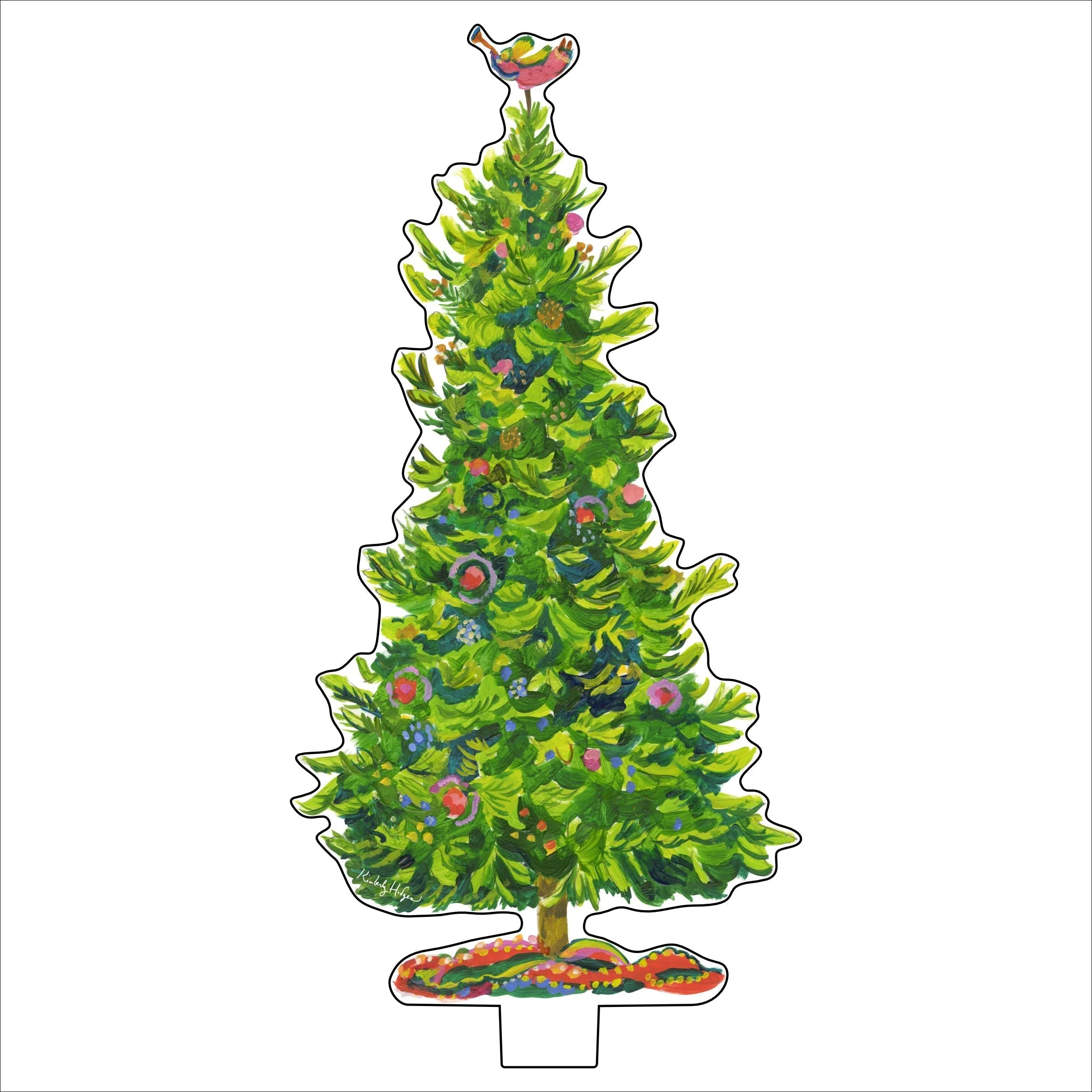 Engleman Spruce - Sold Individually - Image 3