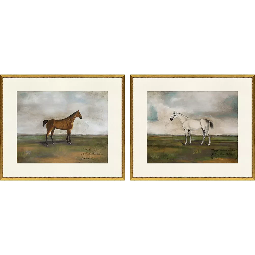Equestrian I