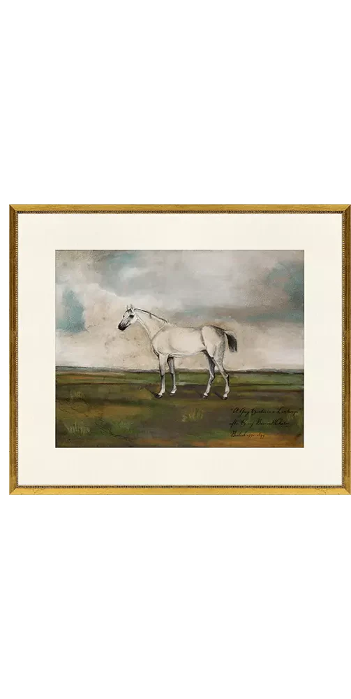 Equestrian I - Image 2