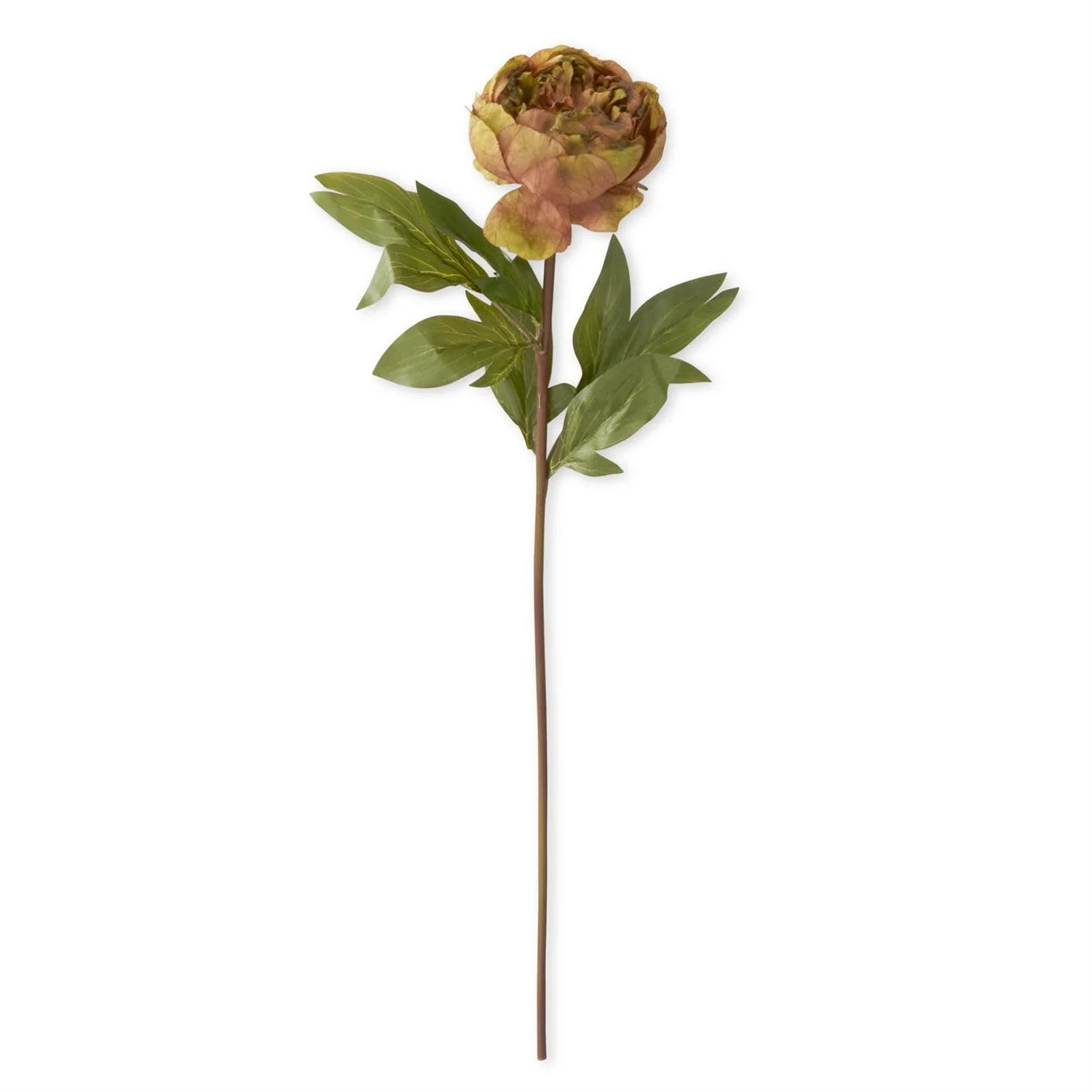 Faux Dried Peony Stem