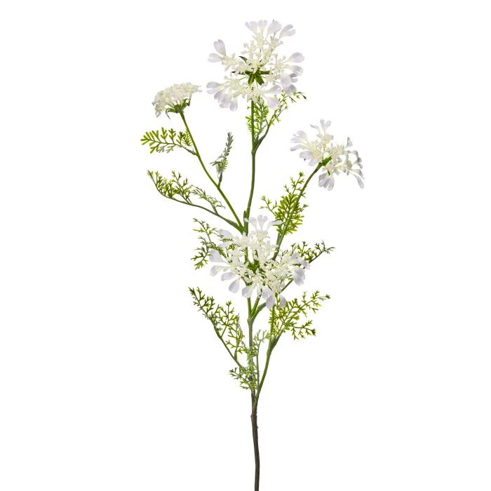 Field Yarrow Stem X 4 38” - Image 2