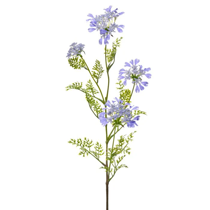 Field Yarrow Stem X 4 38” - Image 3