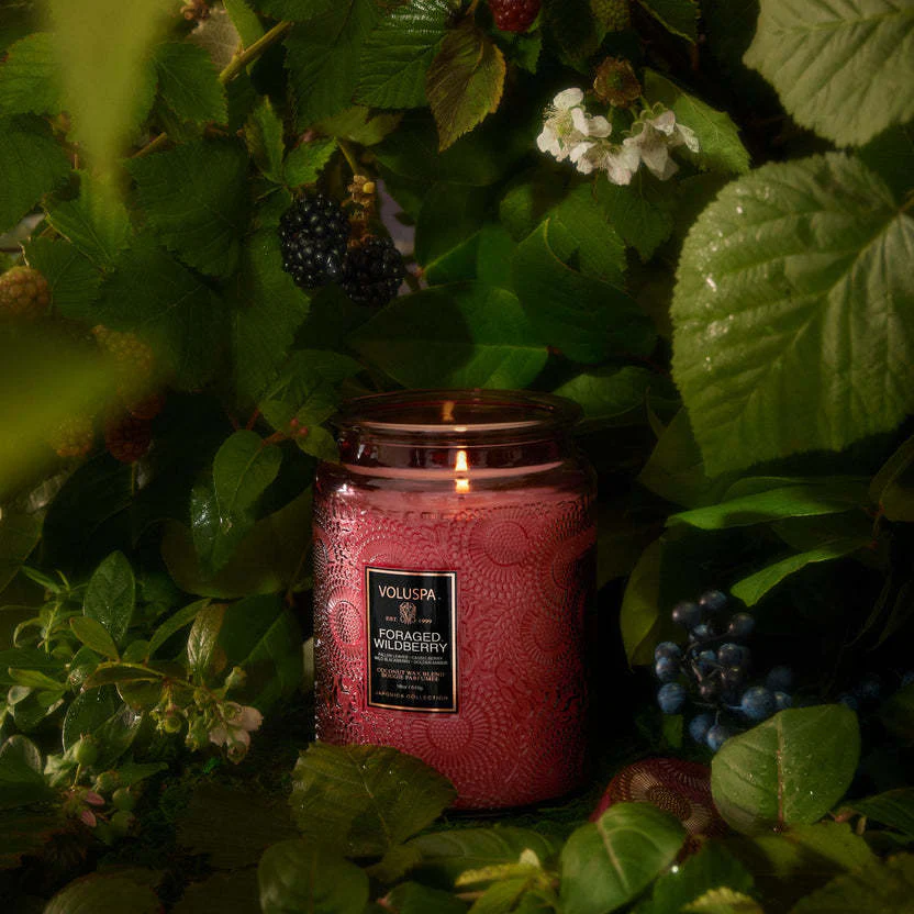 Foraged Wildberry 18oz Large Jar Candle - Image 2