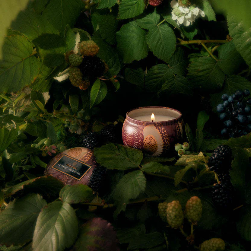 Foraged Wildberry Mini Tin - Image 2