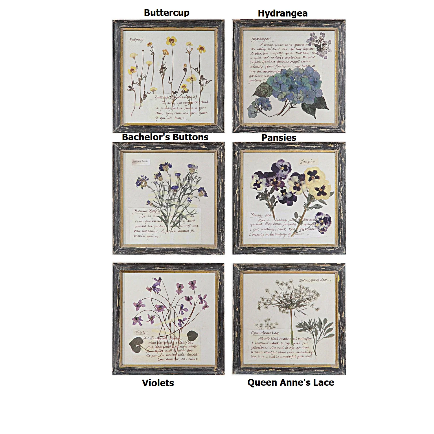 Framed Wall Decor with Floral Image - Sold Individually