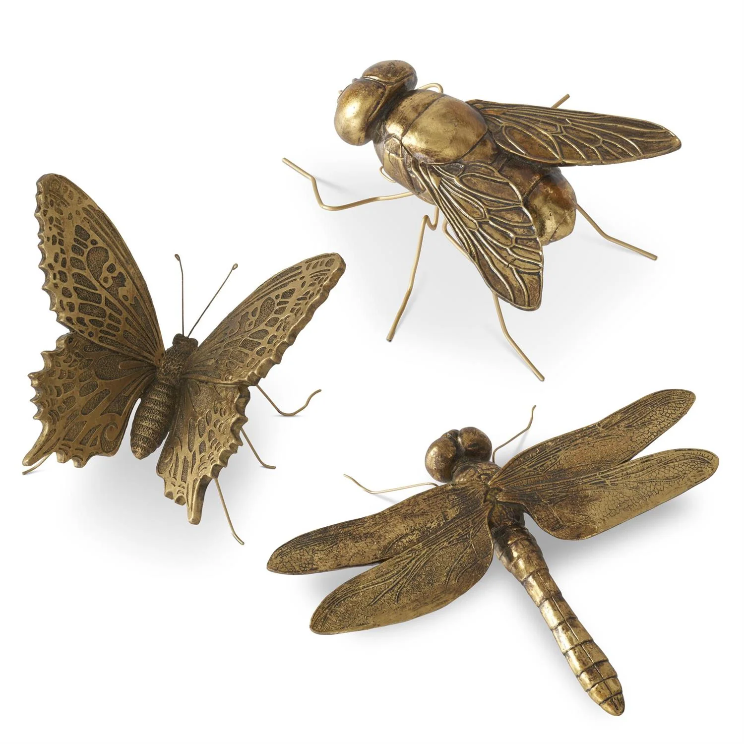 Gold Resin Insect - Image 2