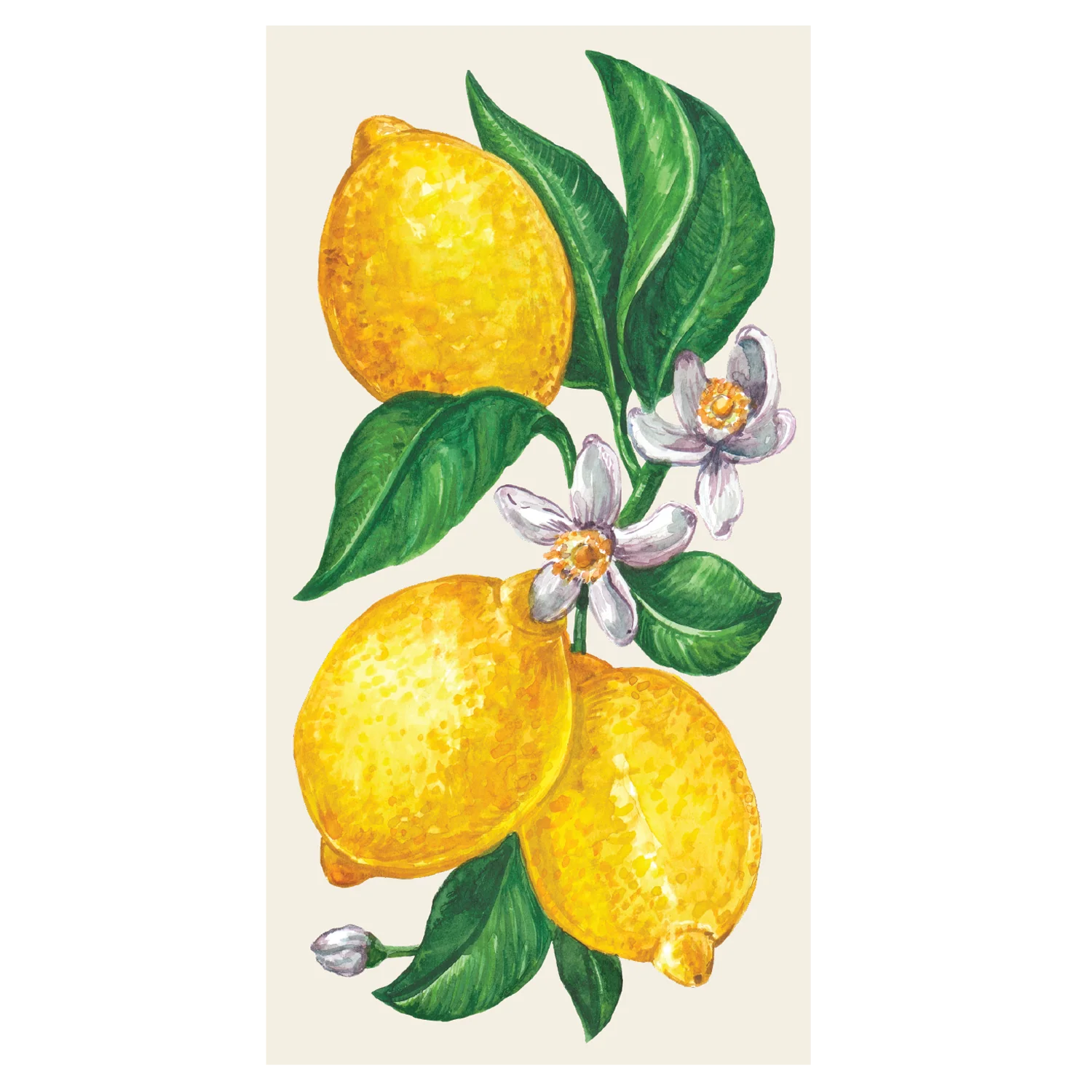 Guest Napkin - Image 12