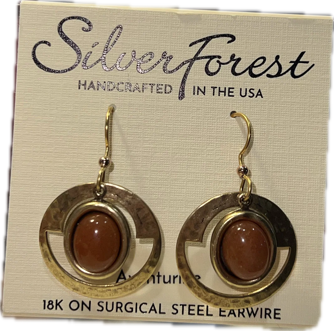 Hammered Frame & Oval Stone Earrings