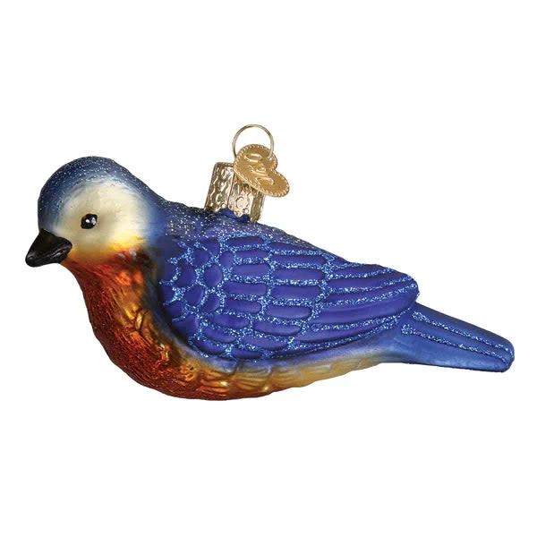 Hanging Western Bluebird - Image 2