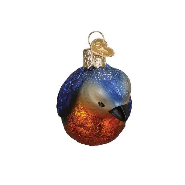 Hanging Western Bluebird - Image 4