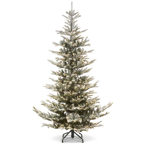 HANNAH 9' SNOWY NORWEGIAN SPRUCE