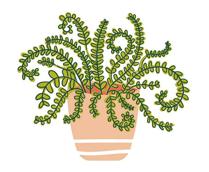 Happy Houseplant Big Attachment