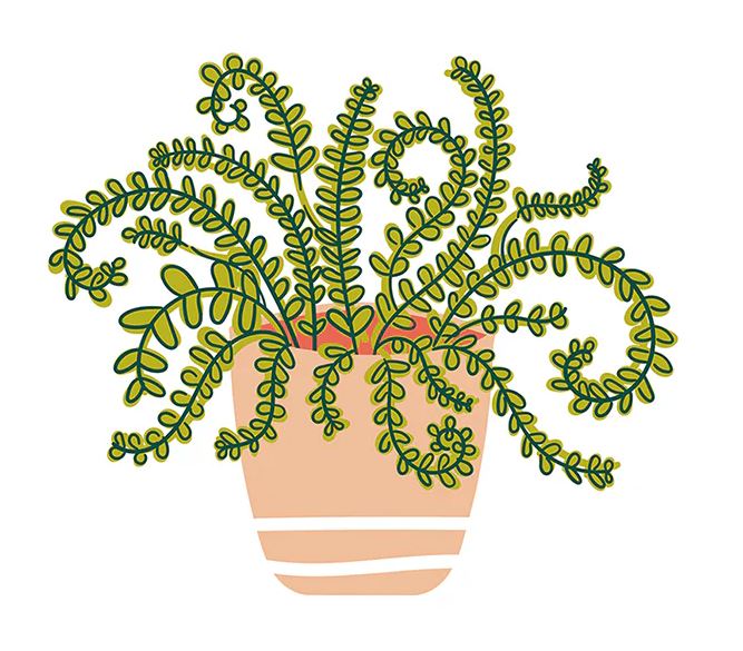 Happy Houseplant Mini Attachment