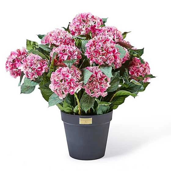 Hydrangea Urn Filler - Image 3