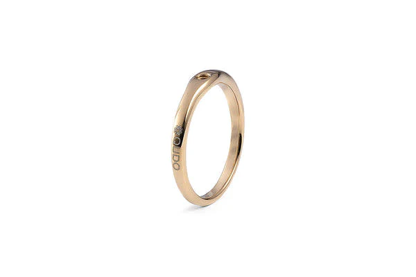 Interchangeable Basic Ring Fine