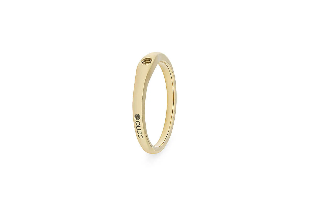 Interchangeable Basic Ring Fine - Image 7