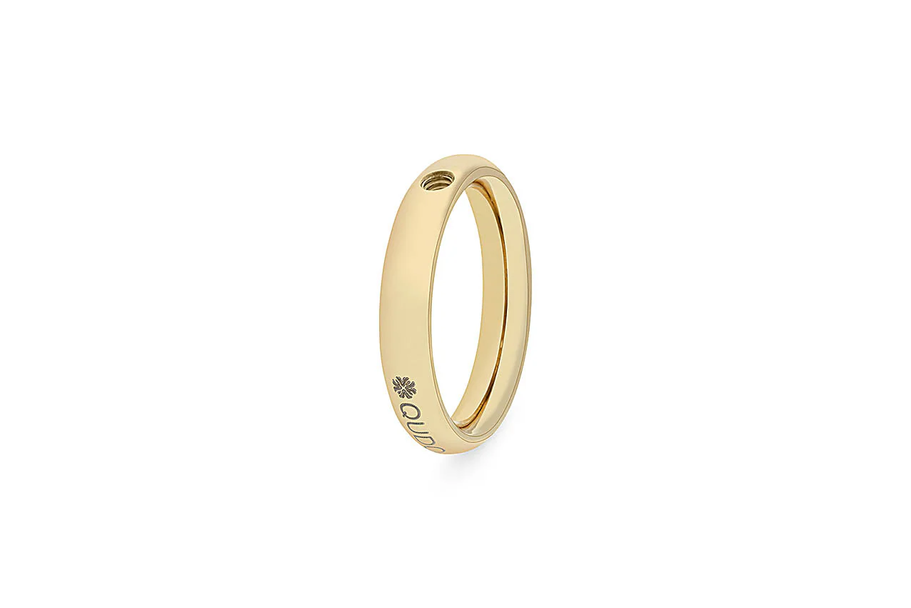 Interchangeable Basic Ring Small - Image 8