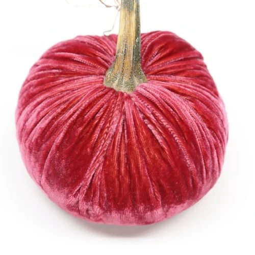 Jumbo Junior Velvet Pumpkin - Image 2